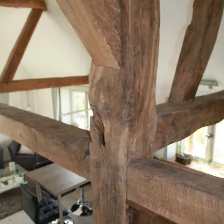 Am Elbdeich Bleckede