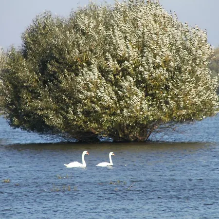 Apartament Am Elbdeich