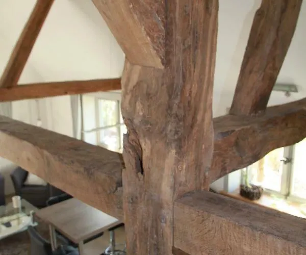 Am Elbdeich Bleckede