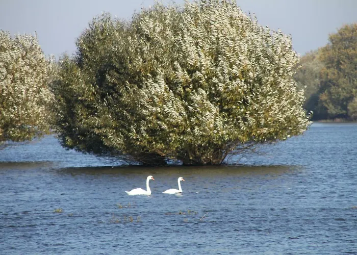 Apartment Am Elbdeich