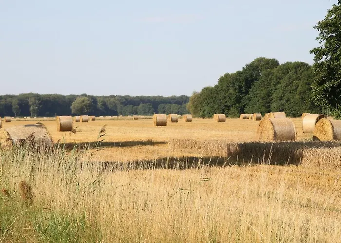 Am Elbdeich * Bleckede